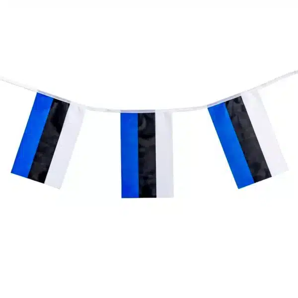 Eesti lippudega vanik