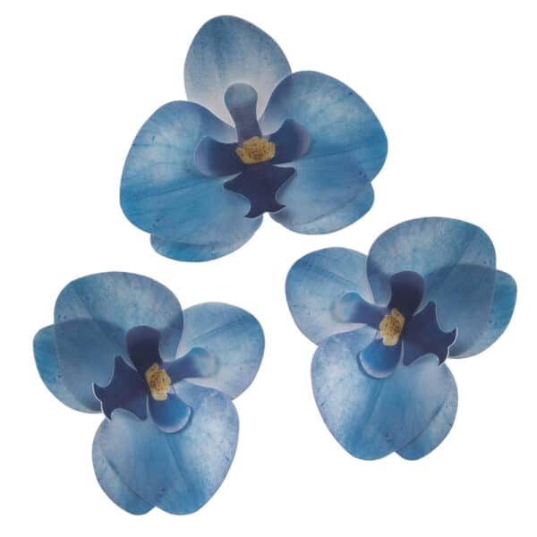 Sinised vahvlist orhideed 3 tk