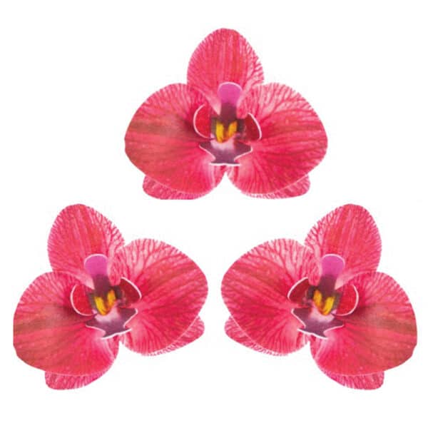 Punased vahvlist orhideed 3 tk